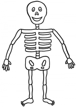Free Skeleton Picture For Kids, Download Free Clip Art, Free ...