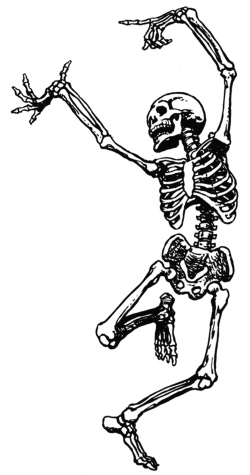 Free Picture Of Skeletons, Download Free Clip Art, Free Clip ...