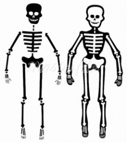 Skeleton clipart simple human, Skeleton simple human ...