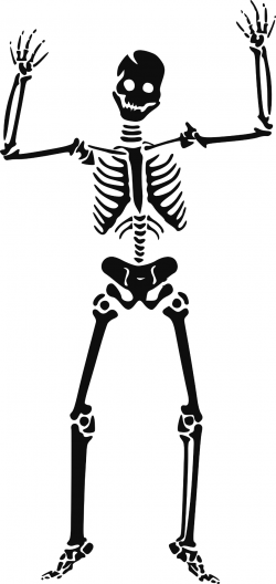 Skeleton clip art vector skeleton graphics image ...