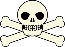 Traditional pirates flag skull vector clip art | Public domain vectors