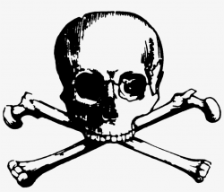 Vector Skull And Bones Human Symbolism Clip Art - Skull And Bones ...