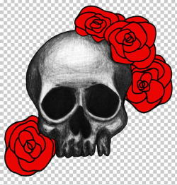 Rosaceae Skull Rose Drawing PNG, Clipart, Art, Black Rose, Bone ...