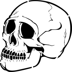 Free Skull Profile Cliparts, Download Free Clip Art, Free Clip Art ...