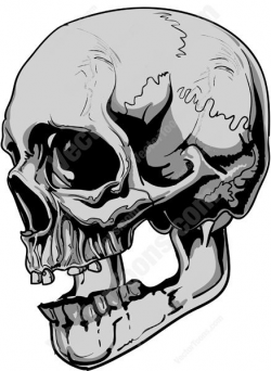 Skull side view clipart - AbeonCliparts | Cliparts & Vectors