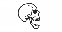 Skull Drawing Side View | Free download best Skull Drawing Side View ...