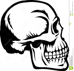 Side skull clipart 8 » Clipart Portal