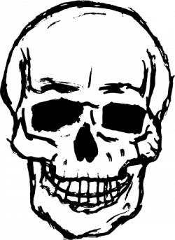 Download SKULL Free PNG transparent image and clipart