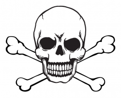 Free Vector Skull, Download Free Clip Art, Free Clip Art on Clipart ...