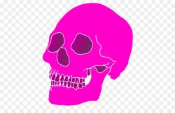 Skull Drawing png download - 500*563 - Free Transparent Art ...
