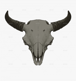 Bear Skull Png - Animal Skull Png Transparent Background ...