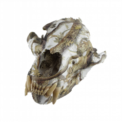 Animal Skull Hydro Dipping Service