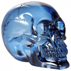 Translucent Blue Skull
