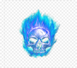 Skull Cartoon png download - 800*800 - Free Transparent ...
