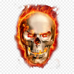 Skull Clipart png download - 745*1024 - Free Transparent ...