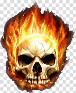 Skull with fire illusration, Desktop Garena Free Fire Skull ...