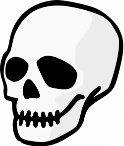 Skull | Free Stock Photo | Illustration of a human skull ...