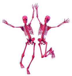 pink skull png transparent .png lsdart •