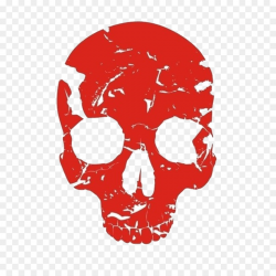Human Skull Drawing png download - 907*907 - Free ...