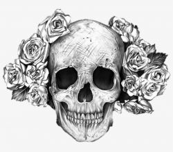 Drawn Bones Transparent - Rose Skull Transparent PNG ...