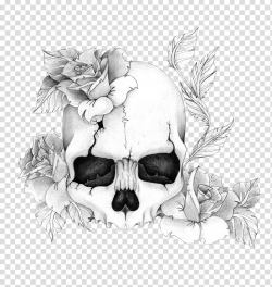 Human skull symbolism Rose Drawing Tattoo, rose transparent ...