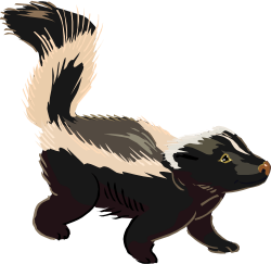 Skunk clipart - Clip Art Library