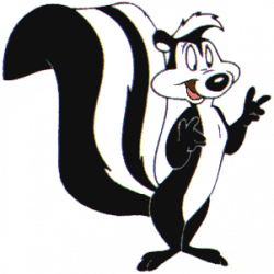 Skunk PNG Transparent Images | PNG All