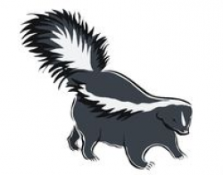 Striped Skunk Stock Photos | Clipart Panda - Free Clipart Images