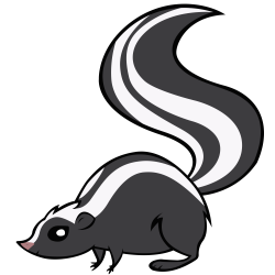 Download for free 10 PNG Skunk clipart transparent top ...