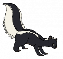 Skunk Transparent - Clip Art Library