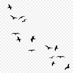 Bird Line Drawing clipart - Bird, Sky, transparent clip art