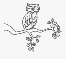 Owl Perched Sleep Free Picture - Owl On A Branch Clipart ...