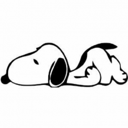 Amazon.com: Peanuts Snoopy Hugging Sleeping 6\