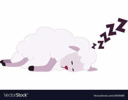 White Sheep Sleeping