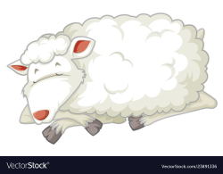 An isolated sheep sleeping