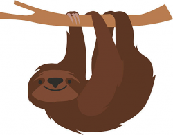 Sloth clipart pencil and in color sloth - ClipartPost