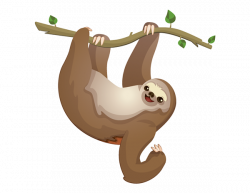 Download for free 10 PNG Sloth clipart background top images ...