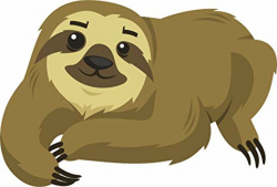 Amazon.com: Cute Adorable Lazy Rainforest Sloth Cartoon ...