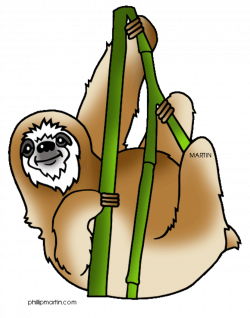 Rainforest Animals Clip Art by Phillip Martin, Sloth
