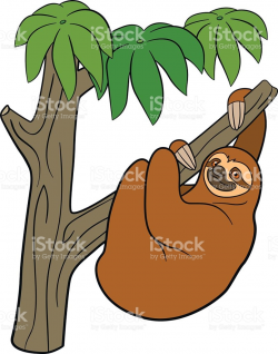 Rainforest Animals Clipart | Free download best Rainforest ...