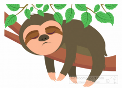 Mammal clipart sloth sleeping on tree clipart 6 - ClipartPost