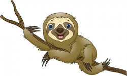 Sloth Clip Art - ClipartPost