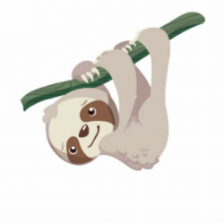 Baby sloth clipart - ClipartPost