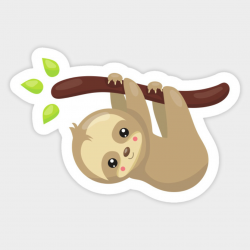 Cute Sloth Hanging From Tree Branch, Lazy Sloth