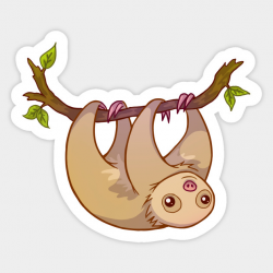 Baby Sloth