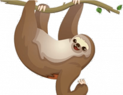 Sloth Clipart Bible - Sloth Clipart Transparent Background ...