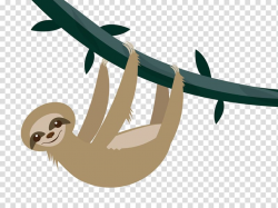 Download for free 10 PNG Sloth clipart background top images ...