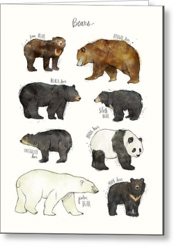 Sloth Bear Greeting Cards | Fine Art America