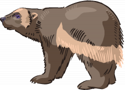 Sloth bear clipart clipartfest - WikiClipArt