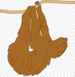 Sloth Borders and Frames Clip art - others
